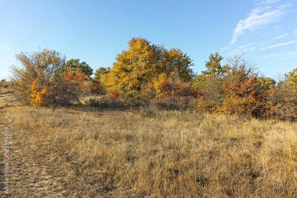 Autumn landscape of Cherna Gora mountain, Bulgaria Autumn landscape of Cherna Gora mountain, Bulgaria