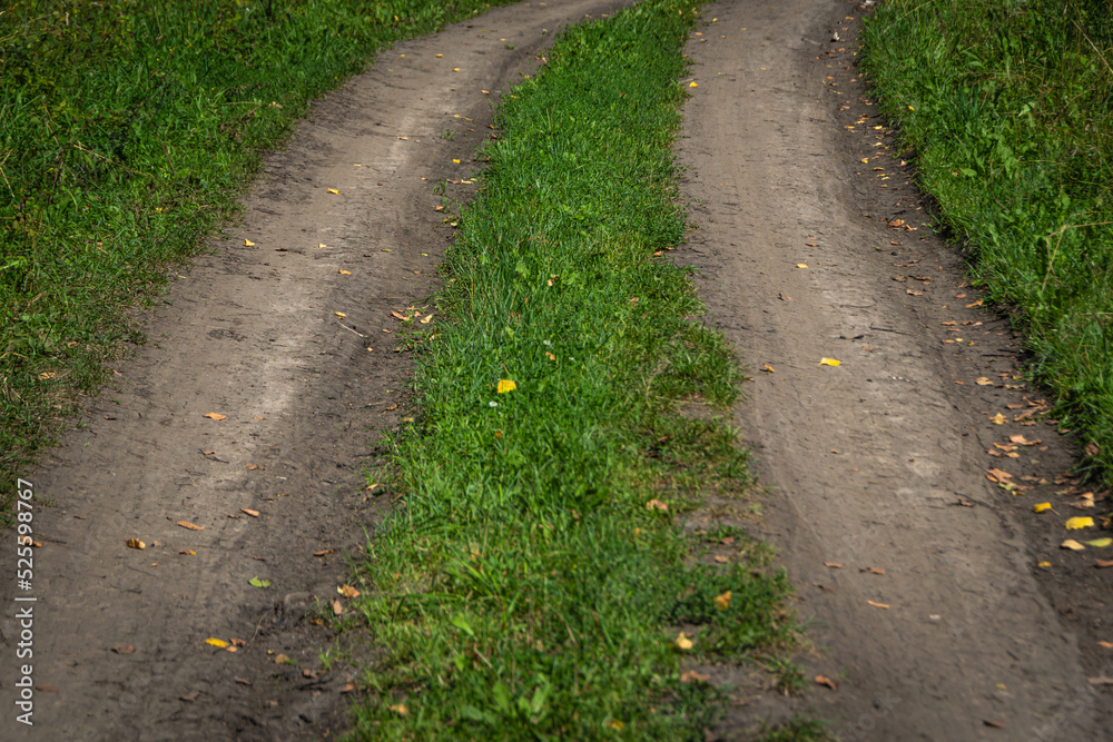 Rural dirt road on summer day. Dry rut, green grass on side. Rustic lifestyle. Lack of transport infrastructure. Symbol travel, move forward