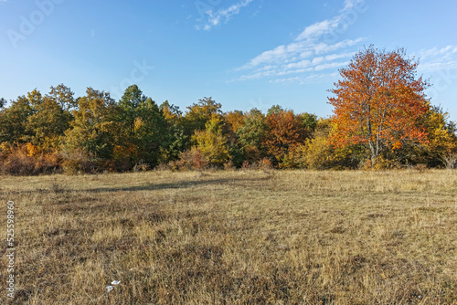 Autumn landscape of Cherna Gora mountain, Bulgaria