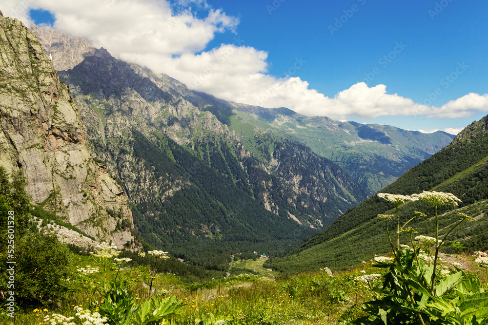 Naklejka premium View of the mountain gorge.