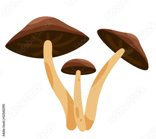 Brown mushrooms isolated on white background. Edible mushrooms. Flat illustration.