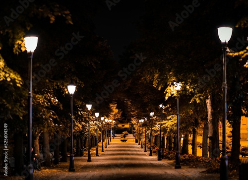 Принти на полотні Beautiful shot of a road lined with lamp posts during nighttime