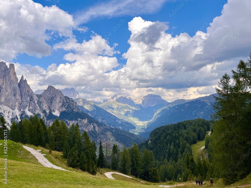Mountains panorama and pine forest,Mount Catinaccio, Ciampedie, Vigo di Fassa, Dolomites, Italy