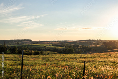 Cattle Ranch Sunset 