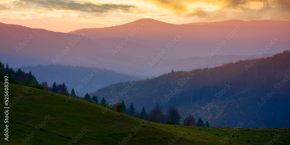mountain rural landscape at dusk. grassy meadows and forested hills of carpathian countryside scenery on a warm autumn evening. distant range beneath a sky with clouds. explore the beauty of ukraine - obrazy, fototapety, plakaty 