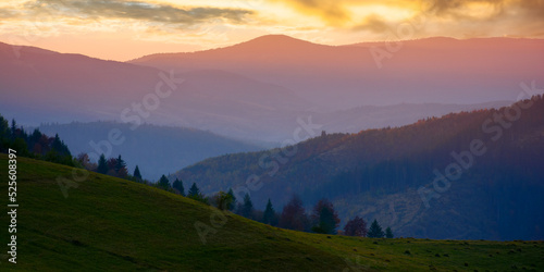 mountain rural landscape at dusk. grassy meadows and forested hills of carpathian countryside scenery on a warm autumn evening. distant range beneath a sky with clouds. explore the beauty of ukraine
