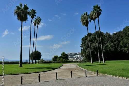 Valokuva The Capodimonte wood in Naples, Italy.