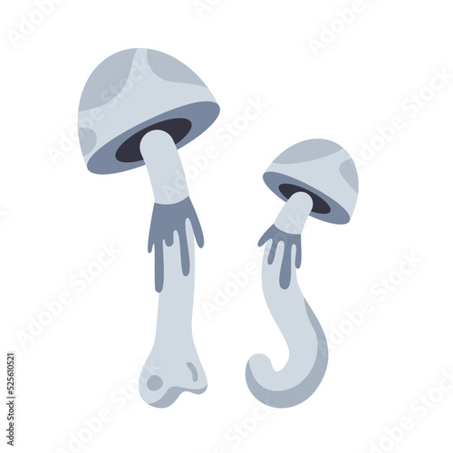 Crooked champignon. Grey mushroom isolated on white background.