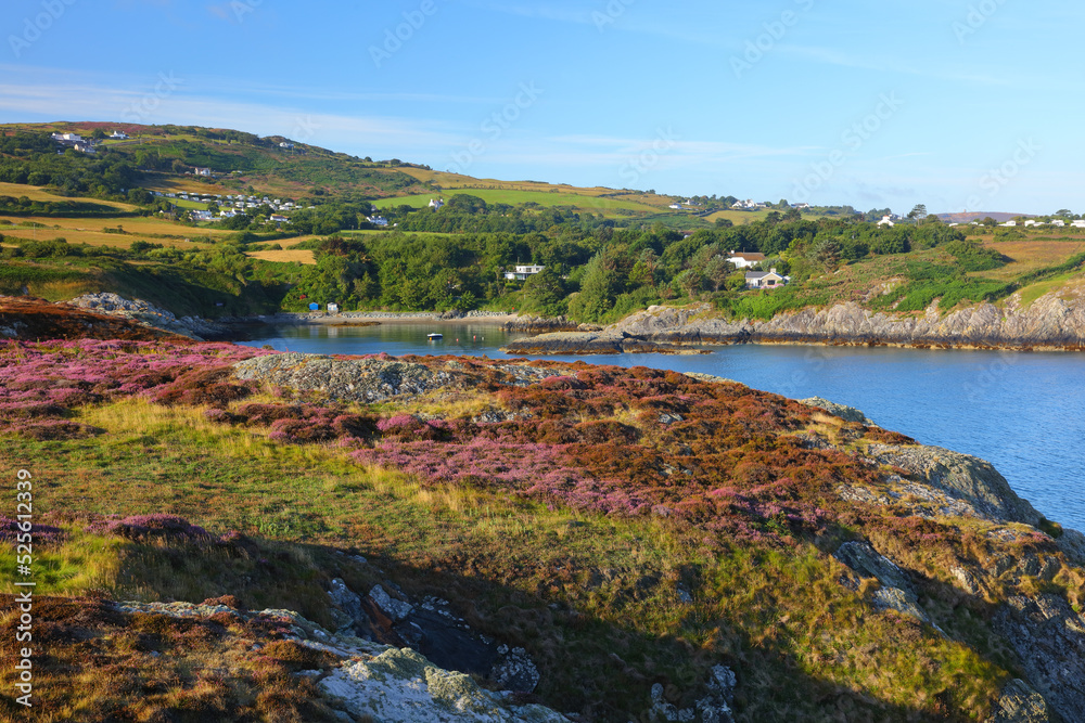 Landscape view looking towards Llaneilian from Point Lynas, Anglesey, North Wales, UK.