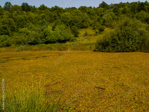 Red lake, Hungary, Josvafo – near the National Park of Aggtelek photo