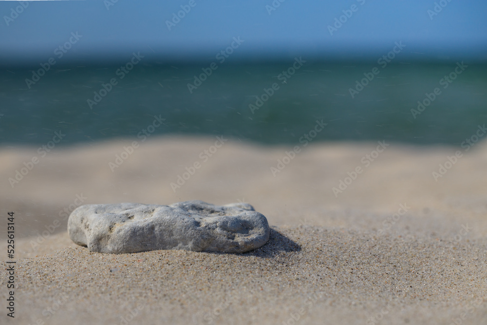 Stones on a white sand beach background. Minimal creative composition background for cosmetics or product presentation. Front view Stones on a white sand beach background. Minimal creative composition background for cosmetics or product presentation. Front view