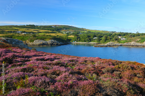 Landscape view looking towards Llaneilian from Point Lynas, Anglesey, North Wales, UK. photo
