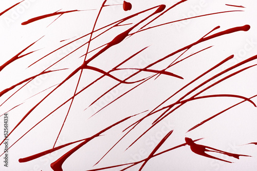 Thin dark red lines and splashes drawn on white background. Abstract art backdrop with wine brush decorative stroke.