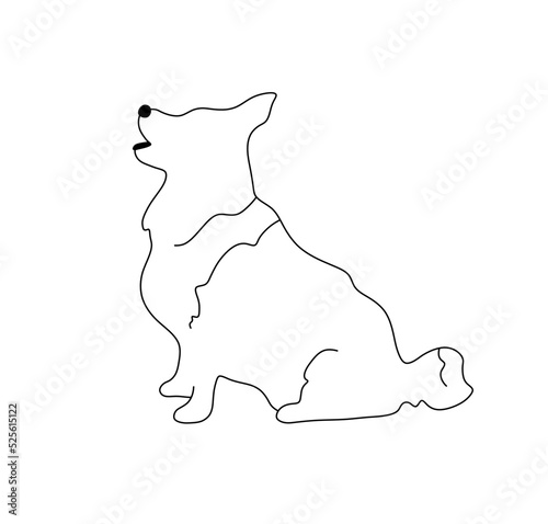 Vector isolated sitting welsh corgi side view silhouette colorless black and white contour line easy drawing