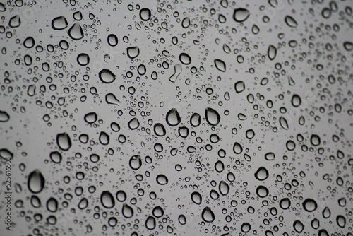 Drops of water with grey background