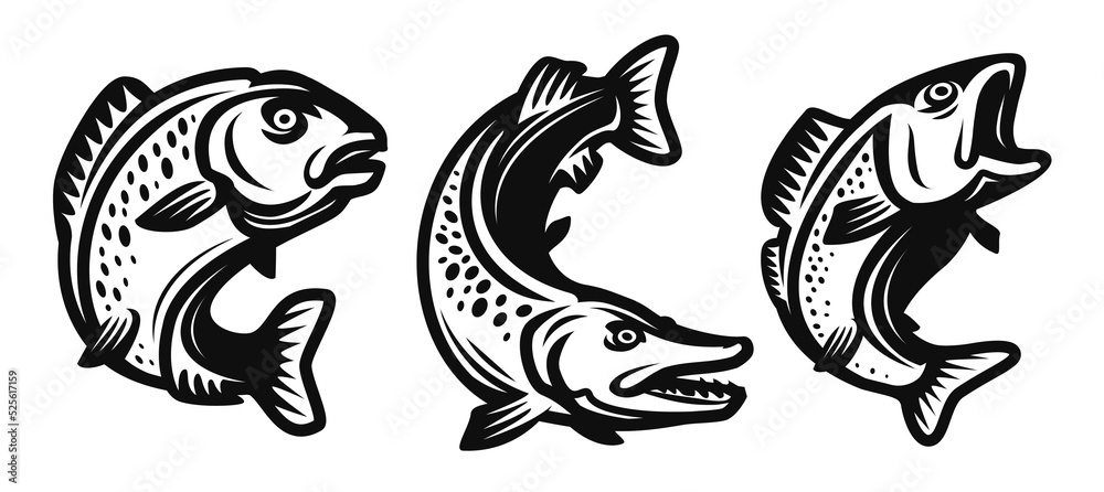 Fish set. Fishing symbol. Carp, pike, perch drawn in decorative monochrome black style. Vector illustration isolated Fish set. Fishing symbol. Carp, pike, perch drawn in decorative monochrome black style. Vector illustration isolated