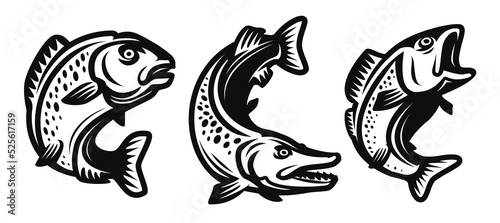 Fish set. Fishing symbol. Carp, pike, perch drawn in decorative monochrome black style. Vector illustration isolated