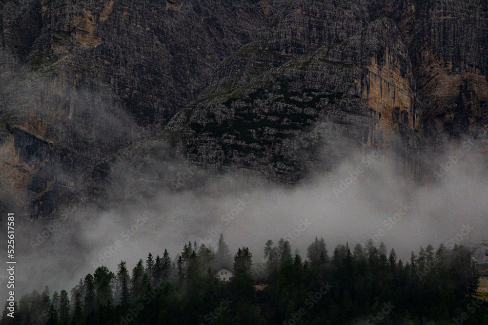 Misty morning in the forest in Cortina d'Ampezzo Misty morning in the forest in Cortina d'Ampezzo
