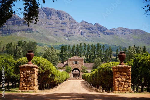 Photography View of the Waterford wine estate winery in Helderberg, South Africa