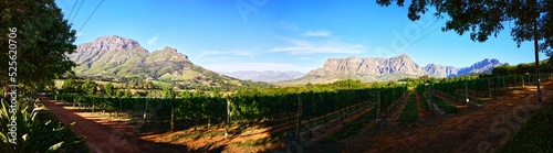 Panoramic view of the Delaire Graff Wine Estate winery in Stellenbosch, South Africa photo