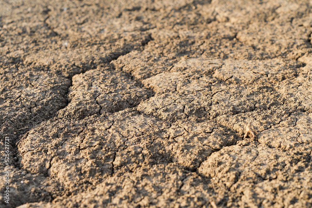 Selective focus of dry cracked earth due to drought in Europe, land without water, drought crisis, critically hot summer, dried up rivers. Selective focus of dry cracked earth due to drought in Europe, land without water, drought crisis, critically hot summer, dried up rivers.