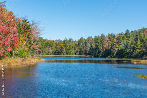 Fall color at the lake on a bright sunny day