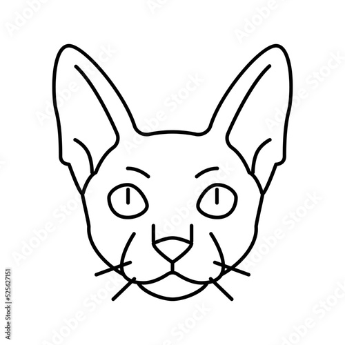 Fotografie cornish rex cat cute pet line icon vector illustration