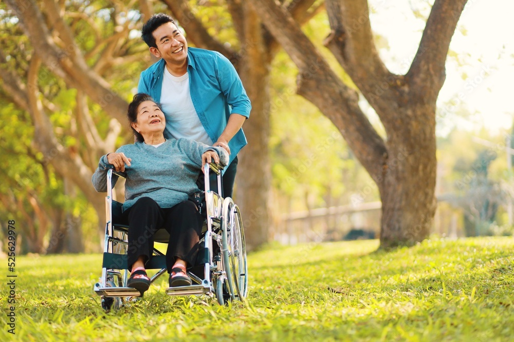 Portrait smiling Asian man hug Senior woman, Happy mother and son at outdoors. Nature background. Portrait smiling Asian man hug Senior woman, Happy mother and son at outdoors. Nature background.