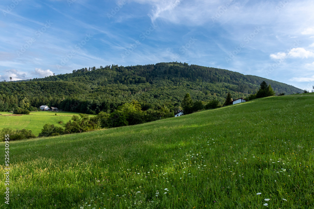 Green meadow with mountain view 