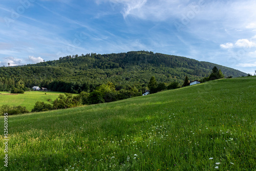 Green meadow with mountain view 