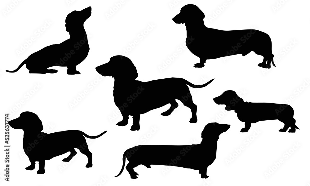 Dachshund Silhouettes set of 5 vector, Dog icon and symbols Stock ...