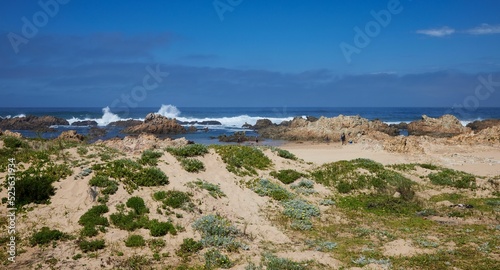 Scenic shot of Knysna beach in Soth Africa photo