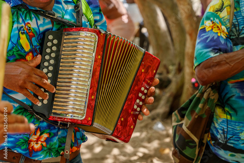 Dominican Republic. The beach musician plays the accordion. Hands on the accordion close-up. Accordionist. photo