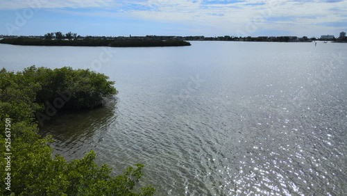 Pan In of Shoreline with Trees in Tampa Bay Nature Preserve Park