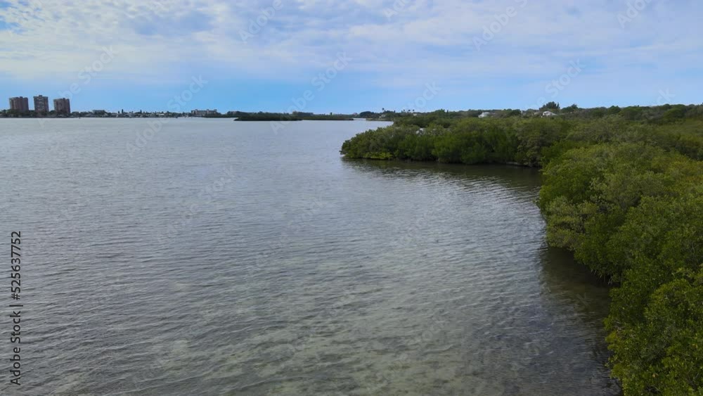 Pan In of Shoreline with Trees in Tampa Bay Nature Preserve Park Pan In of Shoreline with Trees in Tampa Bay Nature Preserve Park