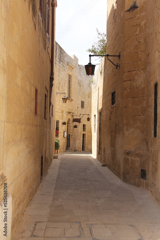 Travel to Malta, 2011
