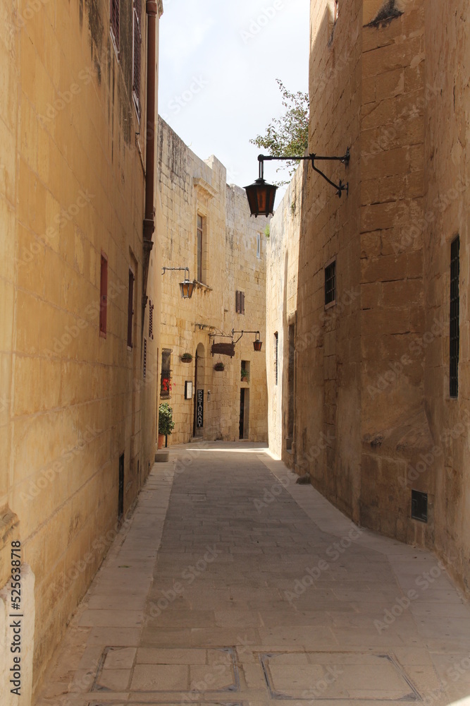 Travel to Malta, 2011