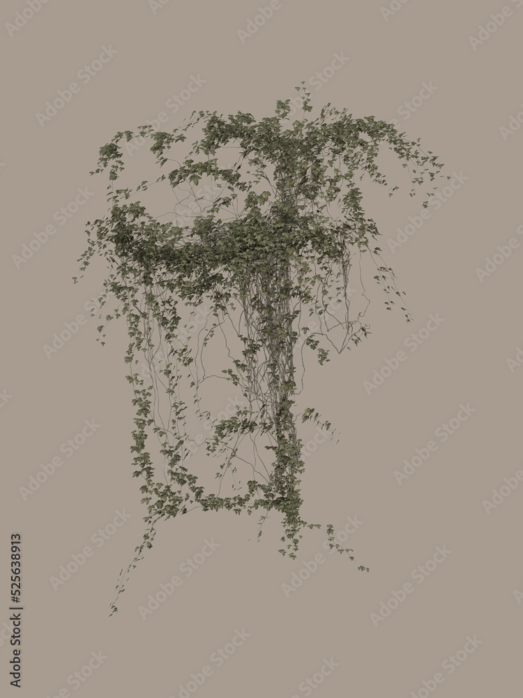Fototapeta premium 3D render of climbing vine with green leaves