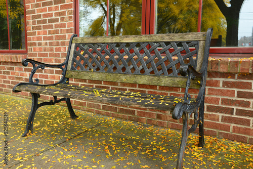 Empty bench in front of a brick wall covered with golden leaves