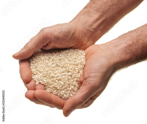 two male hands with rice beans on white background
