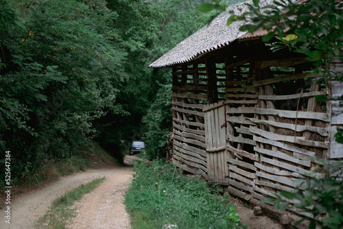 An old shack in the woods