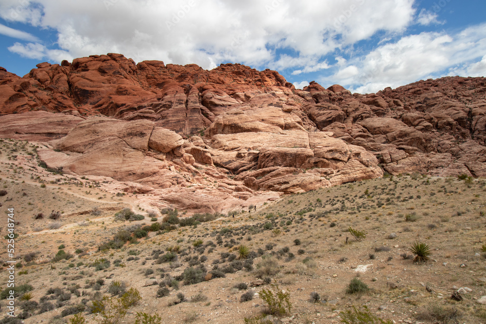 Aztec Sandstone at Red Rock Canyon in the Mojave Desert, Nevada
