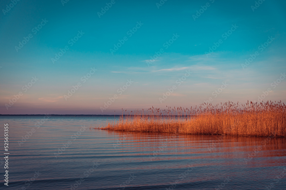 Beautiful sunrise over the lake with blue sky and orange cane.
