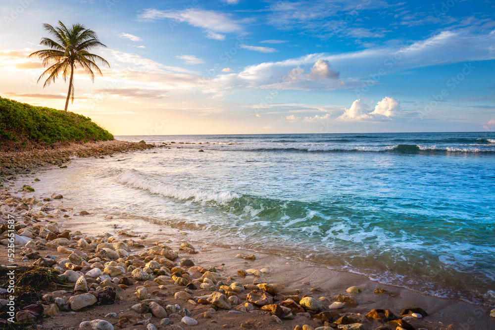 Tropical paradise: caribbean beach with single palm tree, Montego Bay, Jamaica