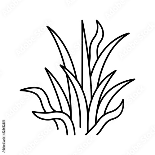 pygmy chain sword line icon vector illustration