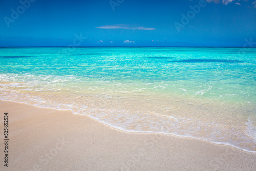 Fototapeta Naklejka Na Ścianę i Meble -  Tropical paradise: idyllic caribbean beach, Punta Cana, Saona Island
