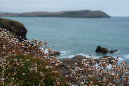 polzeath cornwall england coast coastal view landscape sea ocean beach rock stone island blue water 