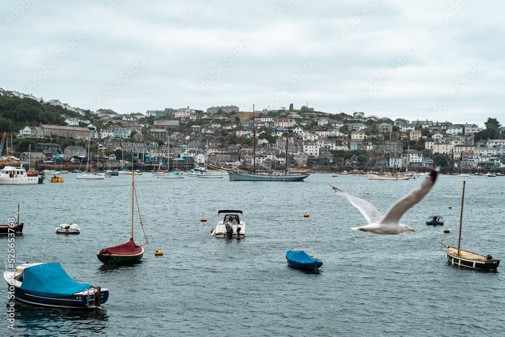 Obraz premium boats in the harbor seagull fowey cornwall