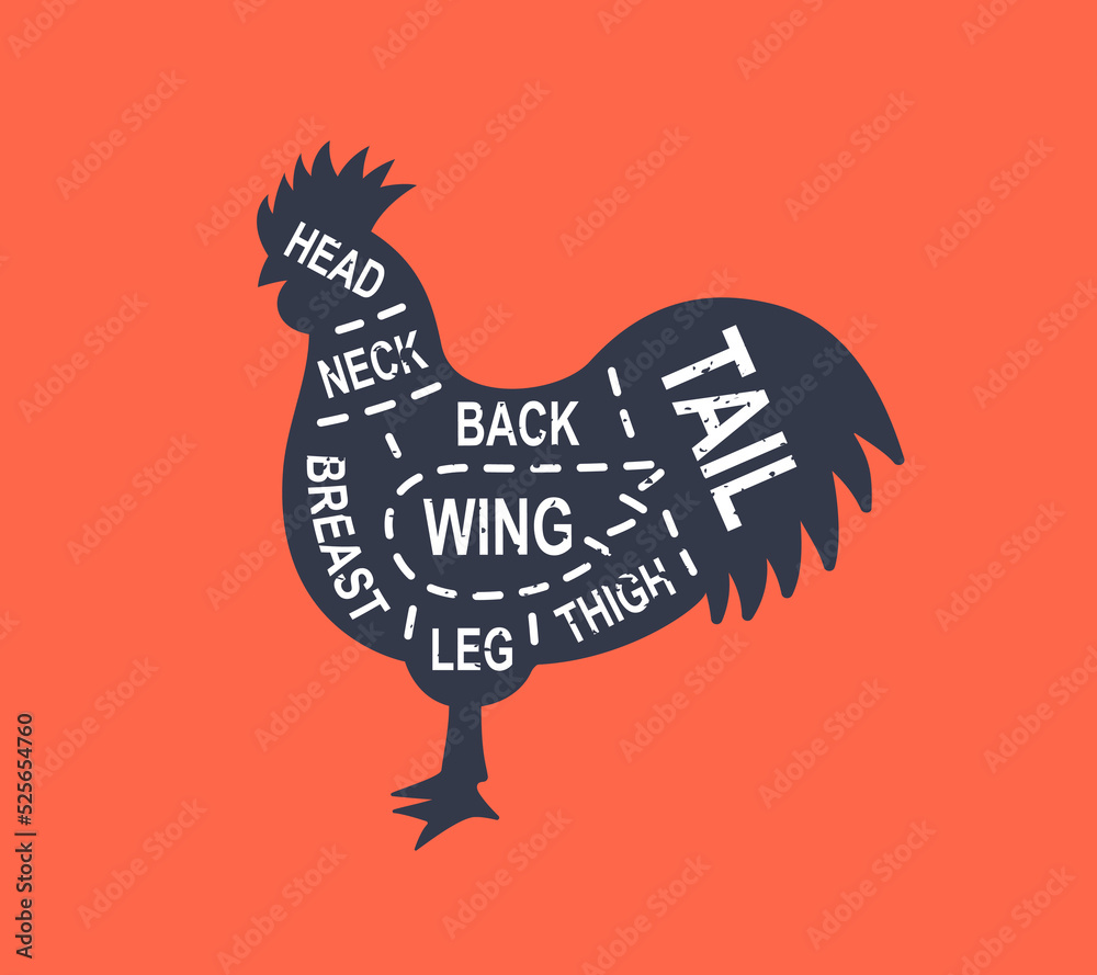 Rooster diagram cuts. Butcher scheme poster. Cuts of rooster meat. Meat