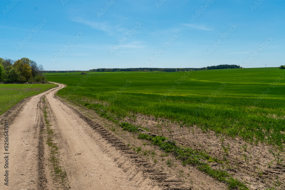 A dry sandy road passes through a field under the scorching sun and clouds. Dirt road outside the city in the village. Arid climate on earth. Climate change and its consequences. A dry sandy road passes through a field under the scorching sun and clouds. Dirt road outside the city in the village. Arid climate on earth. Climate change and its consequences.